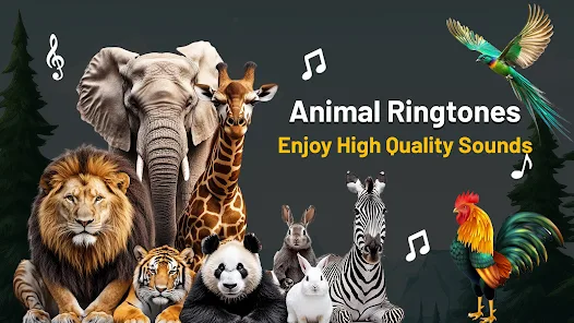 Animal Ringtones_0
