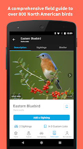 Audubon Bird Guide_1
