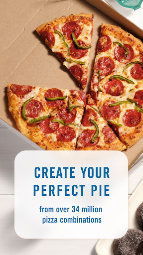 Domino's Pizza USA_0
