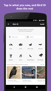 Audubon Bird Guide_2