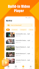 GoVid_3