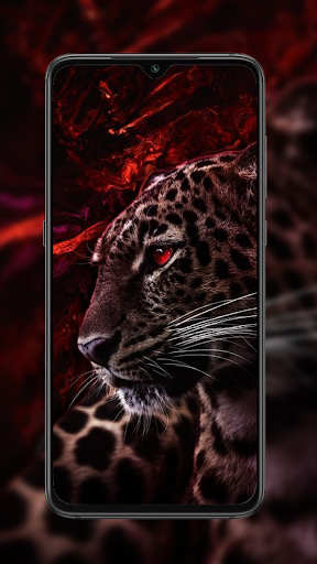 Cheetah Leopard Wallpaper_0