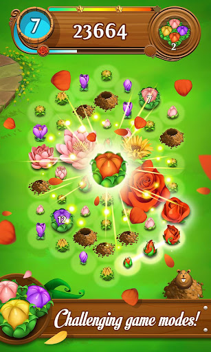 Blossom Blast Saga_1